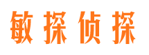 龙子湖市侦探公司